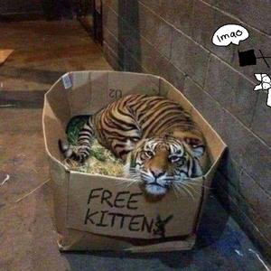 国产亚洲自在精品久久
