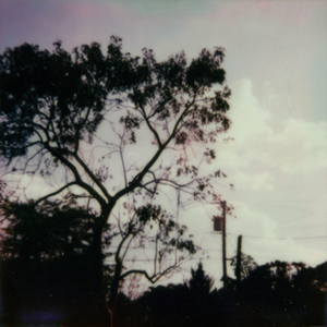 国产亚洲自在精品久久
