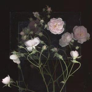 国产亚洲自在精品久久
