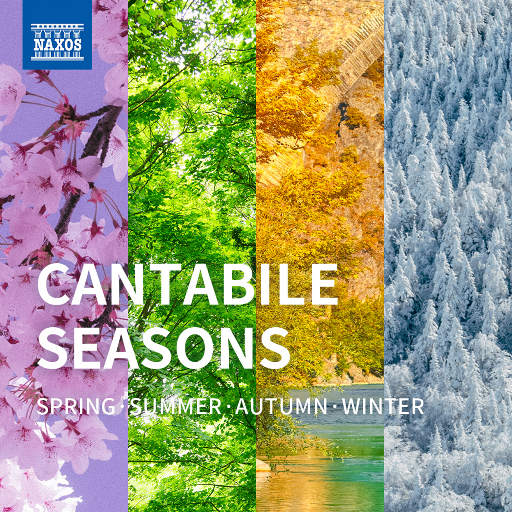 国产亚洲自在精品久久
